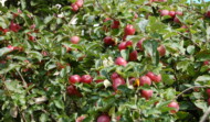 New Gallery Posts